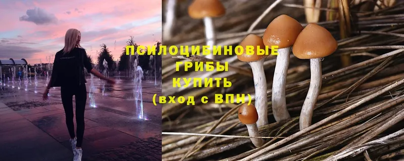 Псилоцибиновые грибы мухоморы  где купить   Купино 